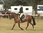 At her latest riding event, Elizabeth placed in the following events: 1st in her rider class, 1st in the bending, 1st in 3 mug, 2nd in the team of fours, 2nd in the equestrian hack, 3rd in the time