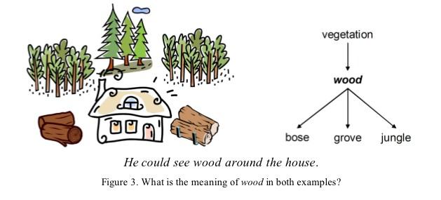 Example: Wood A piece of a tree or a