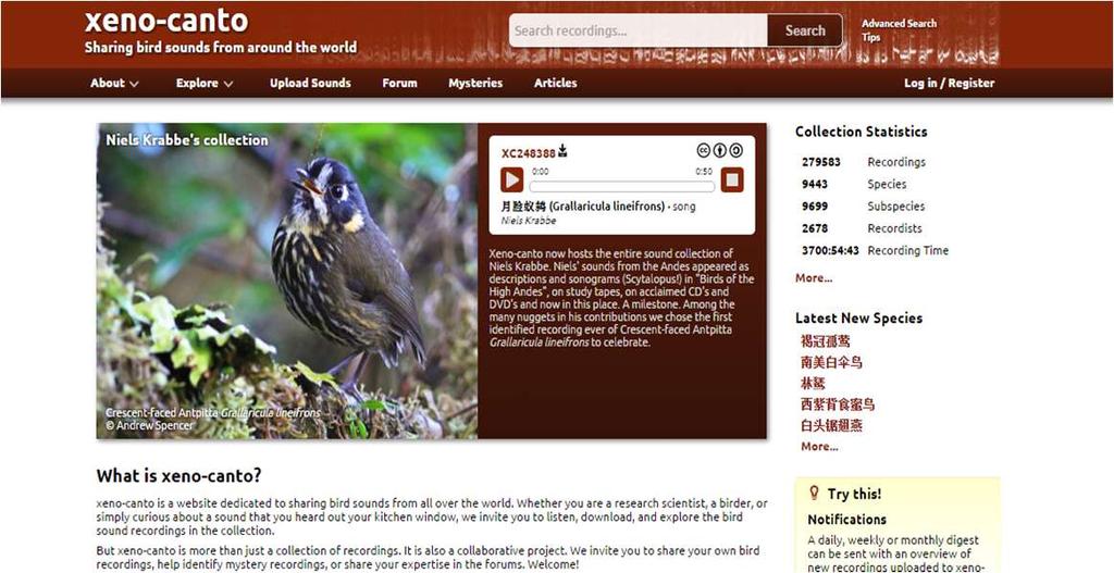 Future Works Large Database Needed: Like the database collected by Xeno-Canto, a website dedicated to sharing bird sounds from all over the world.