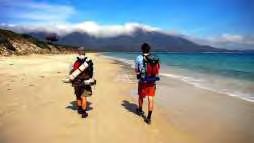 Gap year Could be to: Earn money