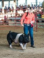 the Feeder barn and showing exhibits at the fair and at Ferris State University in the fall where she plans to pursue a career in medicine.