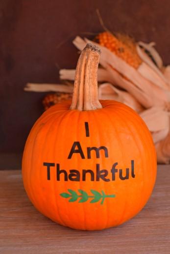 November 16, 2018 Mark Your Calendar 11/21 No School Thanksgiving Holiday 11/22 Happy Thanksgiving St.