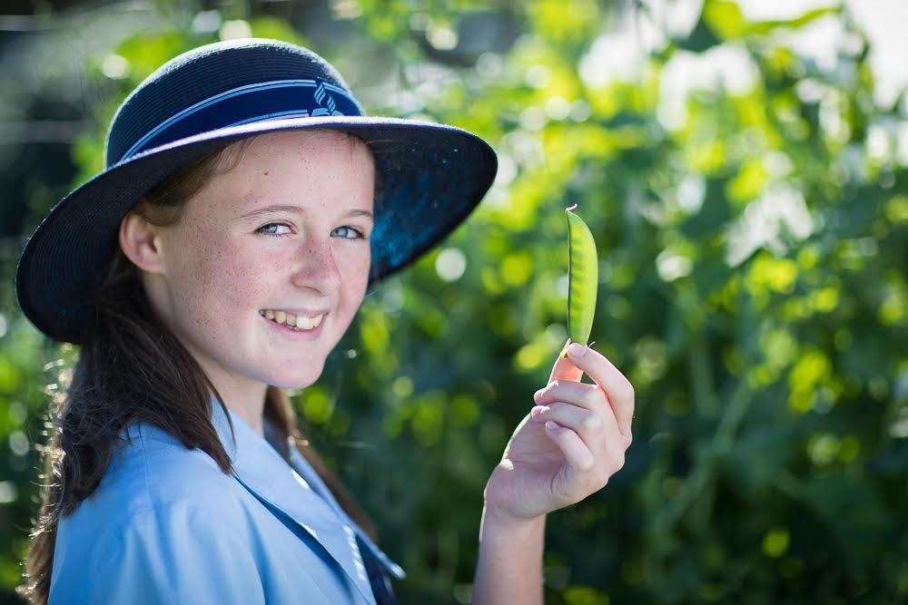 VALUE ADDED Darling Downs Christian School has valueadded programs including but not limited to the following: Enhanced Learning providing remediation and extension for students with learning needs