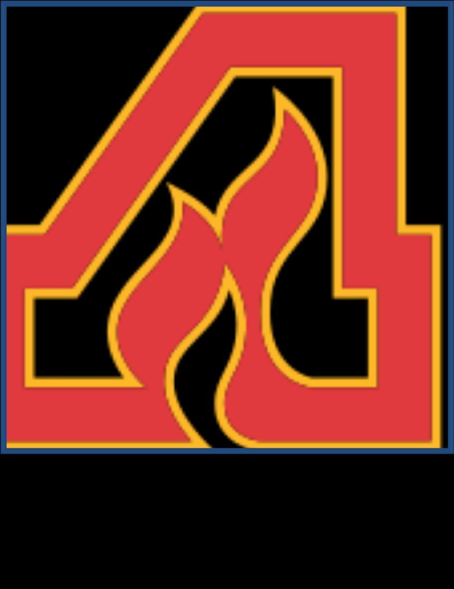 The Atlanta Flames were a professional ice hockey team based in Atlanta, Georgia, USA from 1972 until 1980.