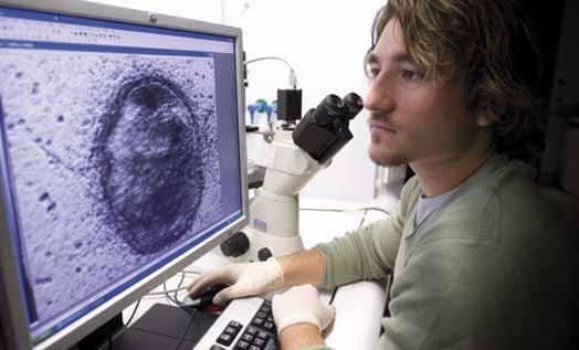 Pharmacy and Pharmaceutical Sciences Pharmacy and Pharmaceutical Sciences PhD candidate Ben Finnin analysing the effects of cardiac drugs on heart cells derived from embryonic stem cells.