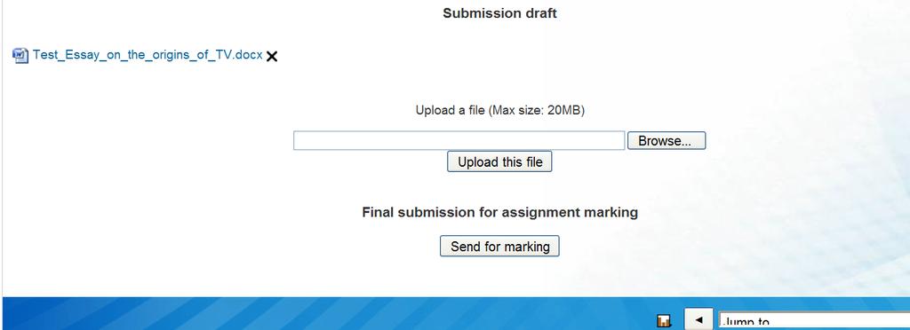 This allows you to find your assignment on your own computer and select it as the file to be uploaded.