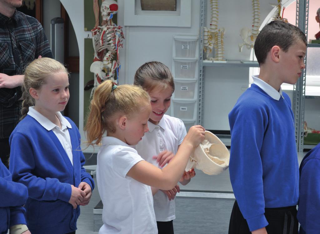 Year 7 University Unzipped An interactive drama based programme which helps refocus students aspirations following the transition from primary to secondary school.