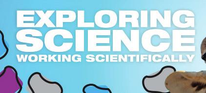 Science Bug - an exciting hands-on science programme designed for today s curious kids.