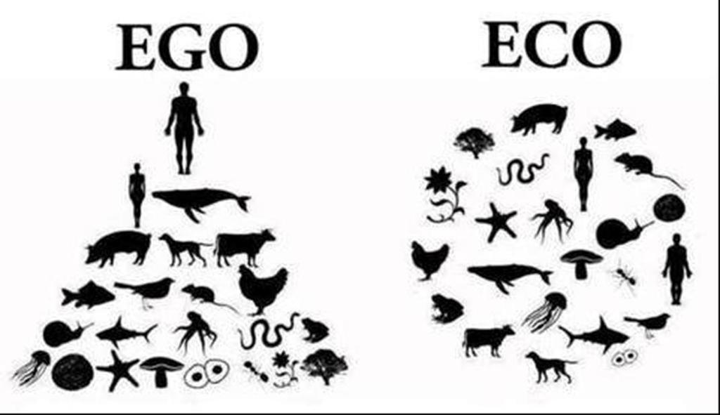 Ecology of Learning throughout Life The planet will not