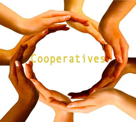 COOPERATIVE AND