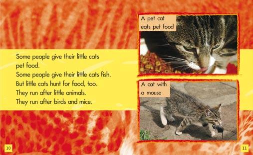 AFTER Reading Before Reading AFTER Reading Before Reading 6/7 8/9 4 Ask the children how much difference there is in the fur of different cats. How does fur differ from cat to cat?