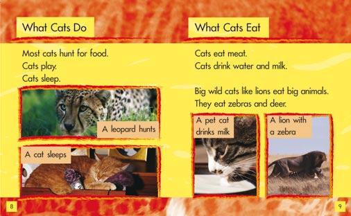 Have the children find the two adjectives in the labels on p7. Can they find the same adjectives on p6? Ask the children what the text says is the difference between the fur of these two cats.