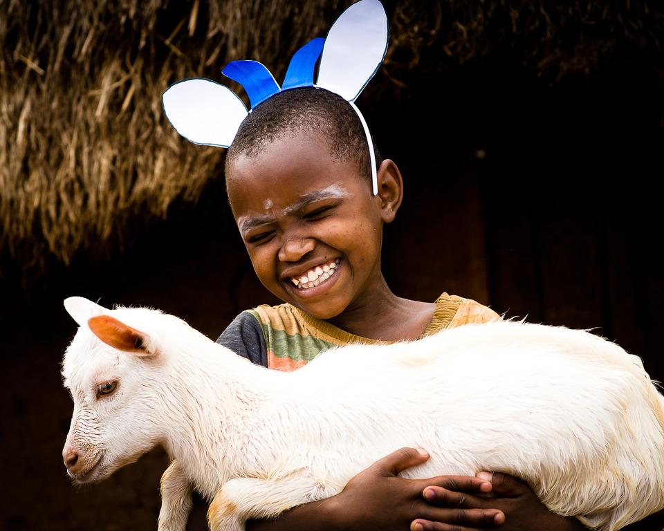 Give Hope and Love with a dairy goat! Give a dairy goat, training, vet care and start up grasses to a family living in extreme poverty.