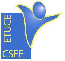 EUROPEAN TRADE UNION COMMITTEE FOR EDUCATION COMITE SYNDICAL EUROPEEN DE L EDUCATION THE EUROPEAN FEDERATION OF EDUCATION EMPLOYERS EUROPEAN SECTORAL SOCIAL DIALOGUE IN EDUCATION WORK PROGRAMME FOR