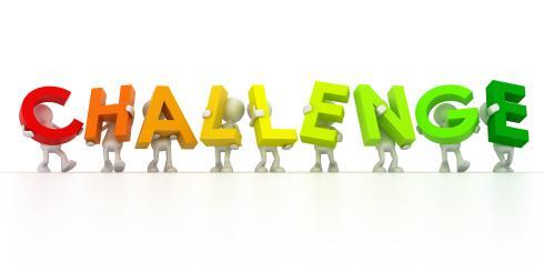 What are the challenges for your