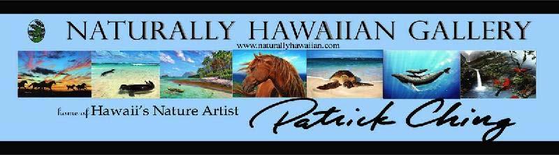 Patrick Ching's Arts Halau is coming to Mamo Gallery for the month of September.