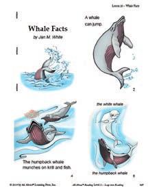 New Teaching Complete Activity Sheet Today s story is about a whale. Before we read the story, let s find out some facts about whales.