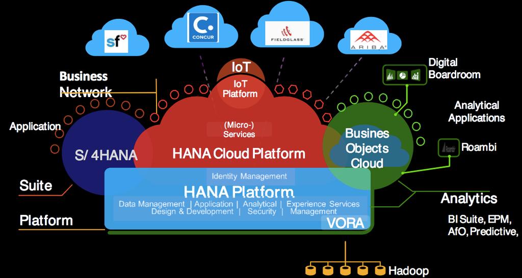 Enable HER institutions to transform business models, reengineer business processes, and reimagine work SAP future direction: provide an integrated digital platform with SAP S/4HANA at the core,