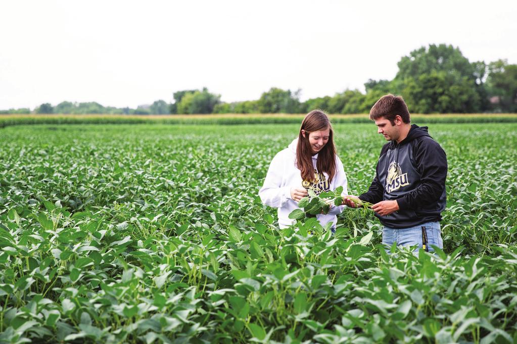 Southwest Minnesota State University is the only state university that offers four-year agricultural programs and has developed a nationally-recognized Culinology degree, a melding of food science,