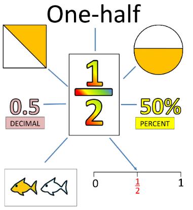 A Quick Guide to fractions, decimals and percentages The denominator is the number of EQUAL parts. The numerator is the number of those equal parts to which we are referring.