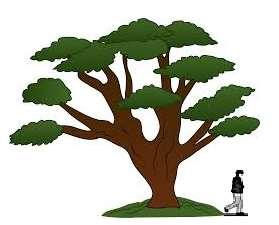 24 The diagram shows a tree and a man. The man is of average height. The tree and the man are drawn to the same scale. (a) Write down an estimate for the real height, in metres, of the man.