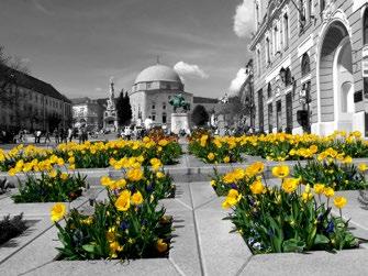 Pécs, Hungary s fifth largest city lies in the southern part of the country. It is a gateway to Croatia, the Balkans and to Northern Italy.