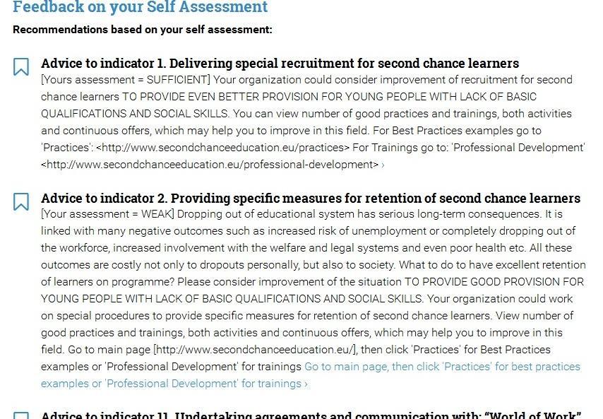 doing self-assessment user can immediately get Feedback concerning all assessed areas (see example on picture no 4).