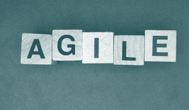 Half Double is an agile project methodology with full impact focus A strong focus on impact rather than only working solutions (deliverables) A broader focus on stakeholder satisfaction and