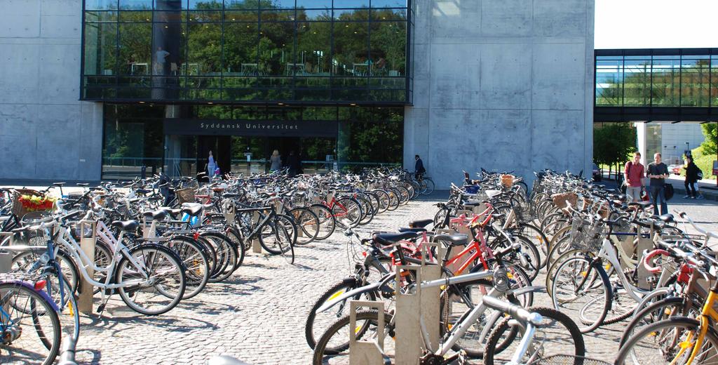 6 7 Five Campuses one university BSS-SDU is a faculty at the University of Southern Denmark, one of the eight universities in Denmark which are all organised as independent and autonomous