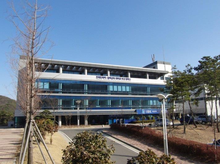 FAU Busan Strategic Aims Positioning FAU in an international setting Joint research with Korean Scientists Chances for able young researchers International experience / exposure for