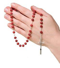 Living Rosary October is the month of the Rosary. On Wednesday, October 19 th, our students will be gathering in the courtyard at 2:00 pm to honor our Blessed Mother by praying the rosary together.