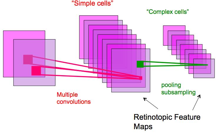 Learning Machines Convolutional Neural Nets : origins