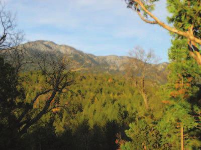 Unsupervised learning Unsupervised learning Feature extraction z ϕ x (x) ϕ y (y) x: y: A view from Idyllwild, California, with pine trees and snow