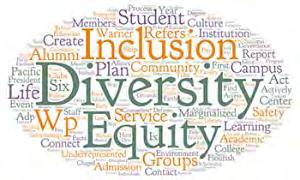 Inclusion Committee (2016-201717) Submitted to: Dr.