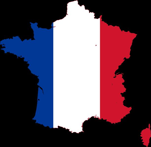icef.com 111 1 French is one of the most common languages in the world One of