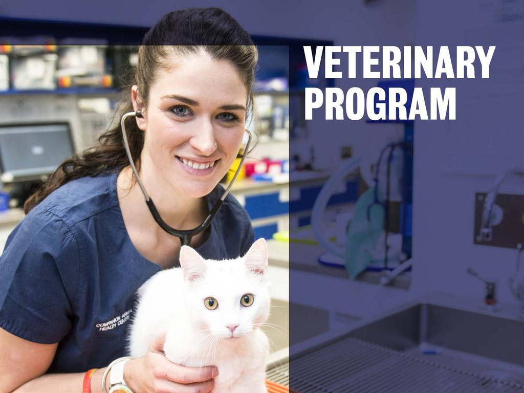 Accredited by: Australasian Veterinary Boards Council (AVBC) Veterinary Surgeons' Board of Hong Kong Royal College of