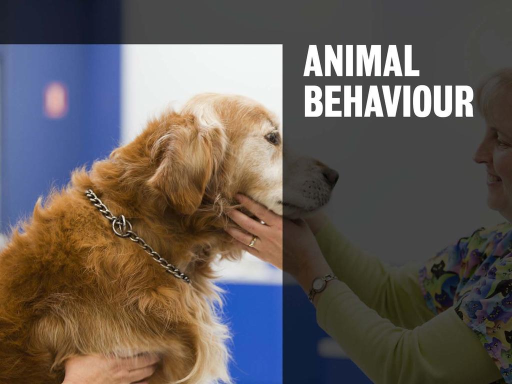 Is a specialist field important to animal-related professions Informs how we manage and treat animals Has direct