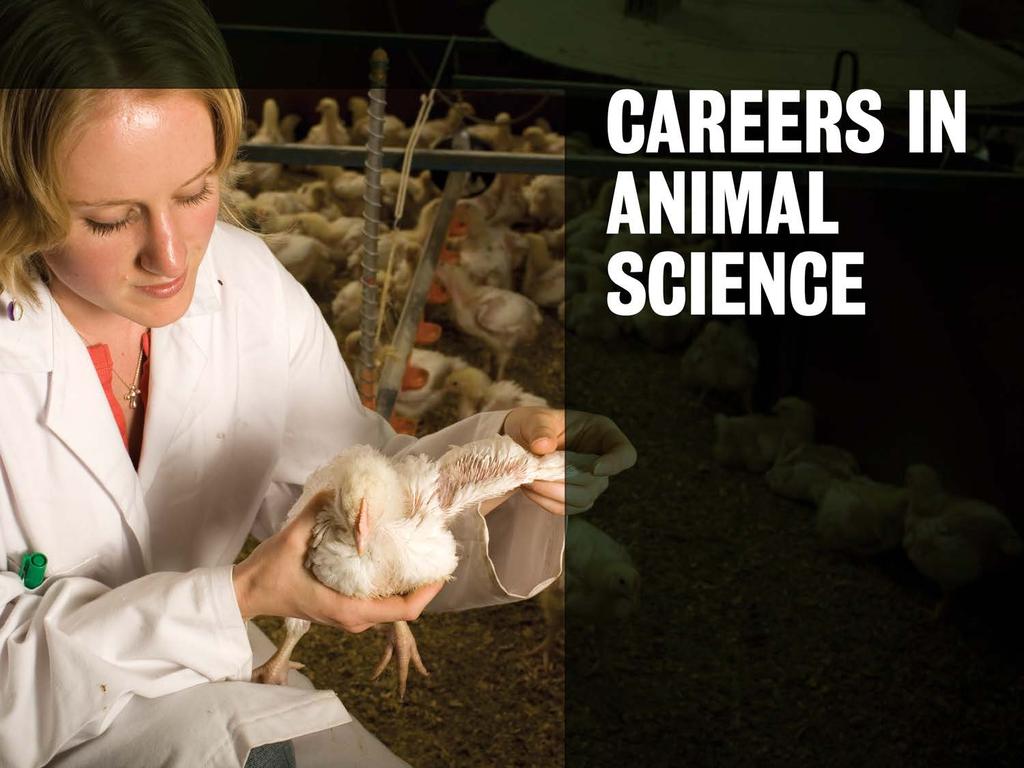 Livestock Animal Health Officer Animal Research Animal Nutritionist Animal Reproduction Non-Livestock