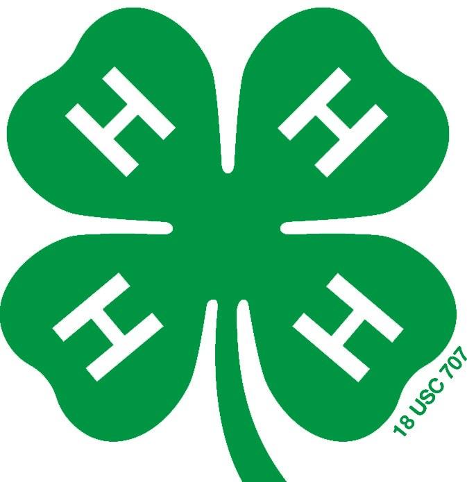 Indiana 4-H Foundation Scholarships Senior Year Scholarship Available to 4-H members in their senior year of high school Club Scholarship Available to 4-H members entering Purdue University majoring