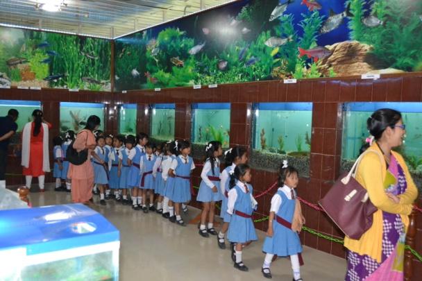 4 Manipur Science Aquarium supported by DST, Govt. of Manipur The Manipur Science Aquarium has been keeping indigenous fish species collected from different locations in the state.