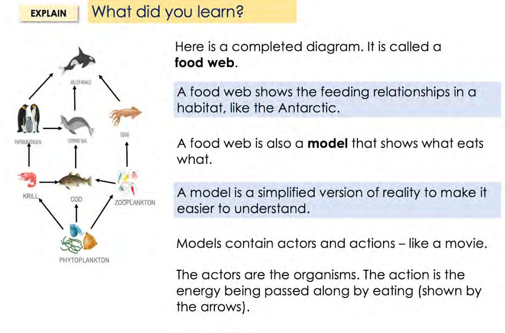 Students food webs are reviewed and new