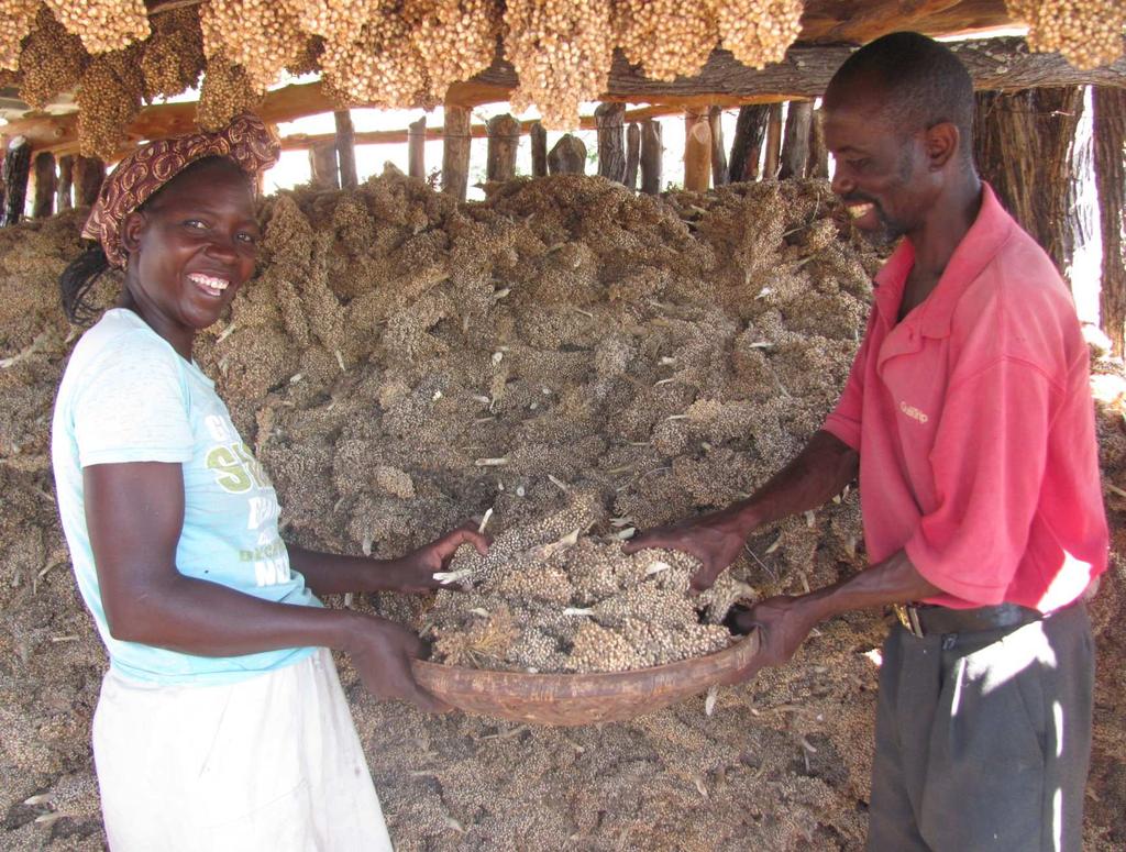 Emergency Response Fund Zimbabwe Mr Lingson Ncube and his wife Filisiwe show off part of their yield of sorghum in their granary, Matebeleland North.