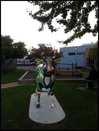 life-sized COWS! Bookings essential: citygalleryevents@wmt.org.
