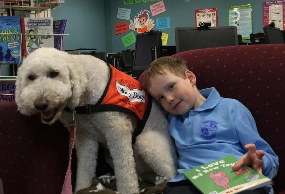 St Brigid s News and Events James reading to his Story Dog Betty!