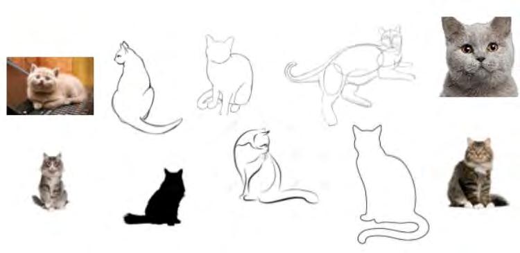 Variations of Cat