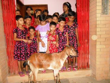 Mizinur Rahman Laskar donated a goat as a Sadqa.