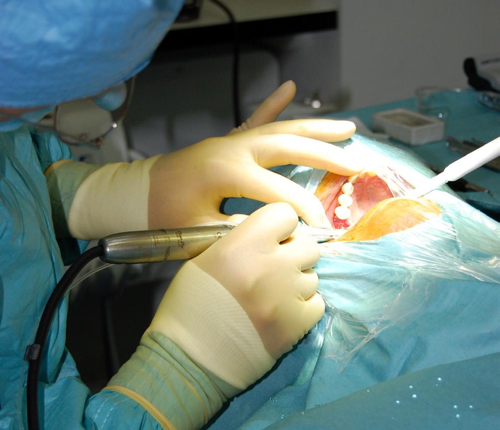 Certificate in Minor Oral Surgery Opportunities 2014 Contents 1. About the Royal College of Surgeons of England About the Faculty of General Dental Practice (UK)... 2 2.