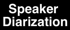 Provide an overview of speaker activity! Adapt a speech recognition system!