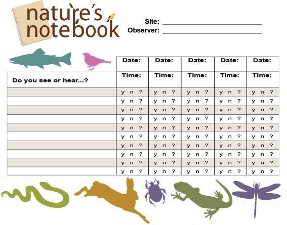 How would you respond to the questions on a Nature s Notebook animal checklist?