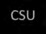 score to calculate the CSU eligibility index No